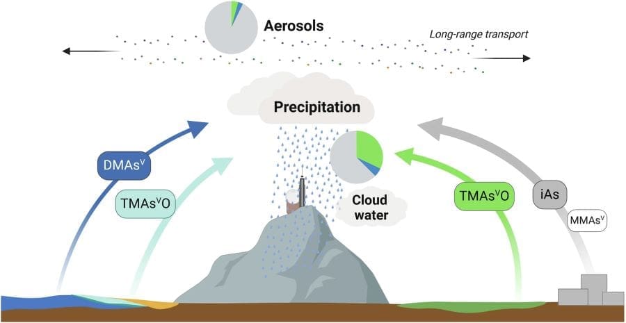 Graphic: Overview of source contributions for atmospheric arsenic (As) species in deposition samples collected at Pic du Midi Observatory (s. rain, climate)