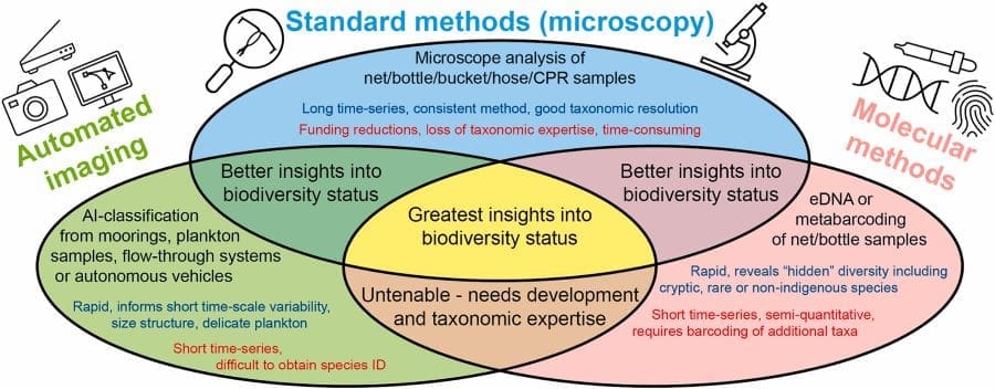 Venn diagram summarising the scientific advantages (blue text) and limitations (red text) of the three methods described in this paper. Intersections describe the current issues and potential insights that can be gained through combinations of these methods