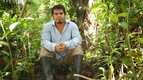 Researcher Hinsby Cadillo-Quiroz in Amazon