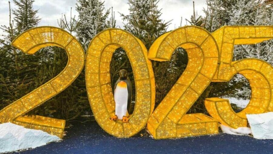 Image: Penguin standing in a sign of 2025