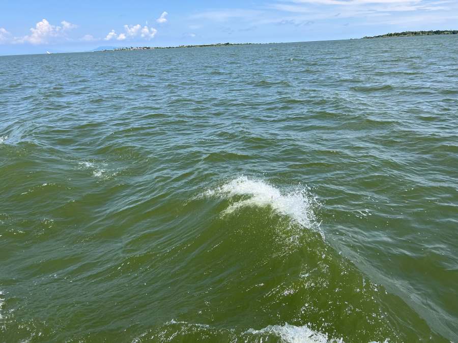 Lake Victoria -algal blooms