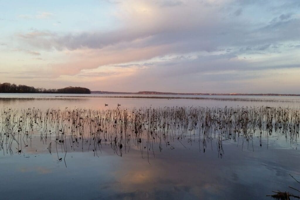 Image of Lake Mendota in Wisconsin. Bacteria in Wisconsin’s Lake Mendota exhibit a unique evolutionary cycle