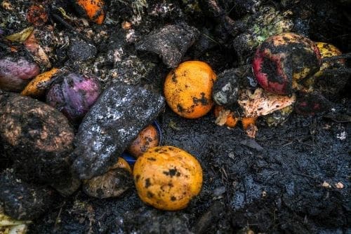 Oranges, apples, squash, and other fruits and vegetables lie in a muddy compost pile at a recycling facility in Placer County, California