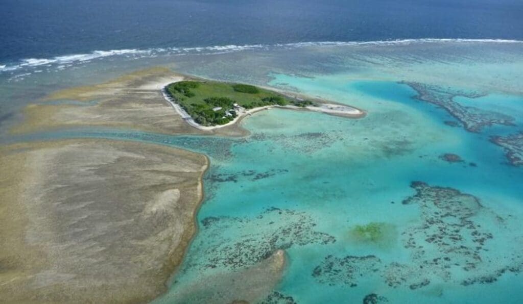 Will rising seas doom the Great Barrier Reef? Ancient reef record offers clues The University of Sydney's One Tree Island research station on One Tree Island reef on the southern Great Barrier Reef