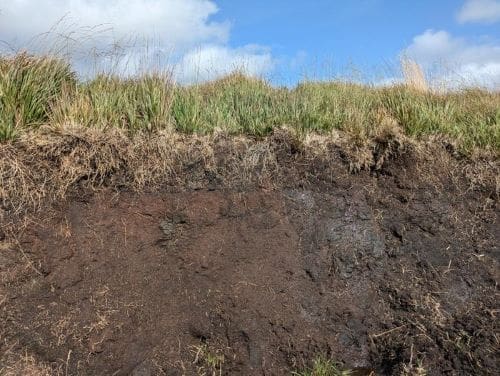 Vast areas of the UK’s peatlands are likely to be unsuitable for peat accumulation by 2061–80 due to climate change