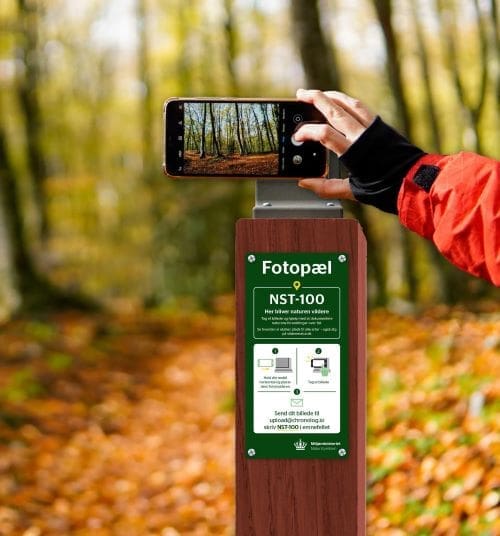 Photo station in a Danish untouched forest