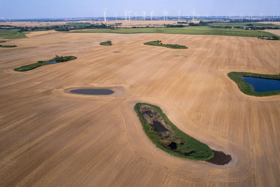 Small water bodies and wind turbines in the agricultural landscape. 