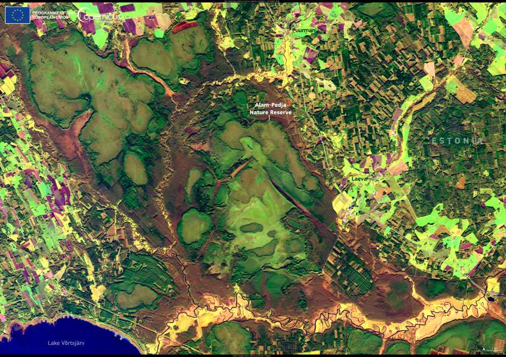Satellite Image: Alam-Pedja Reserve, Estonia (s. biodiversity)