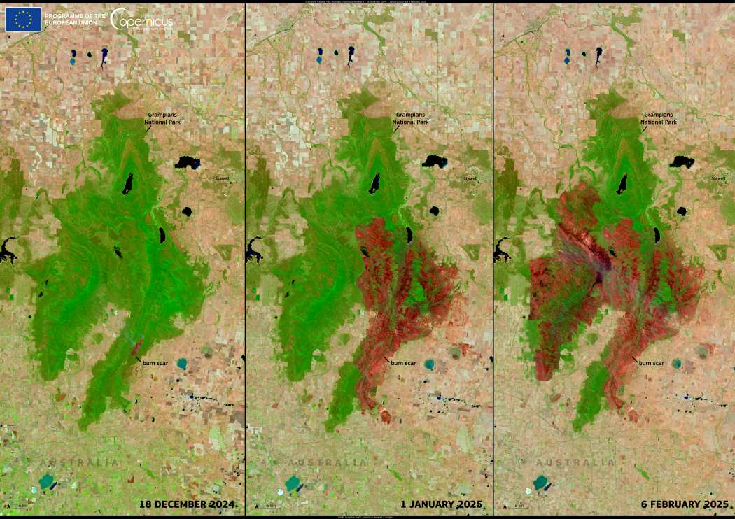 Image of the day: Bushfire destruction in Grampians National Park, Australia