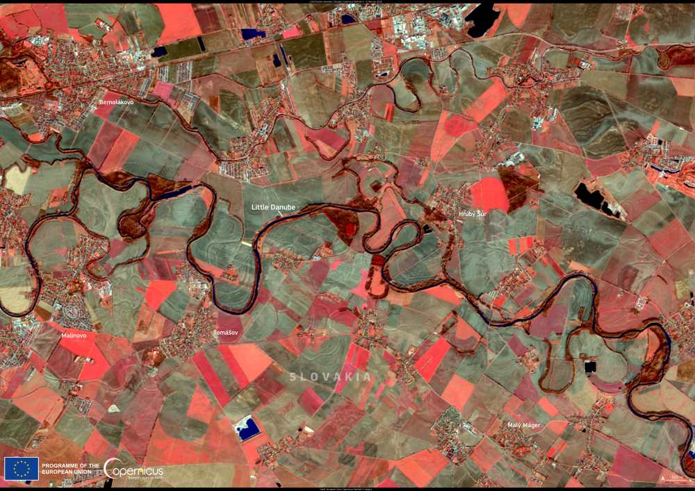 Satellite imagery: Little Danube, Slovakia