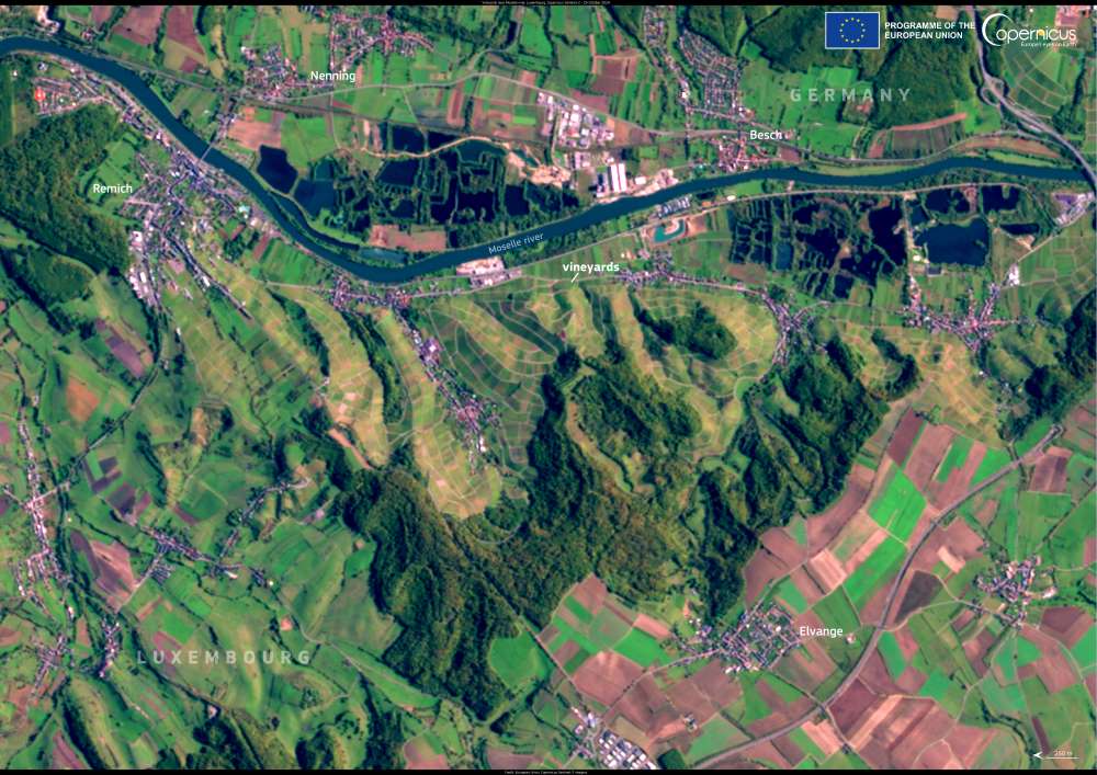 Satellite image: The Moselle wine-growing region, Germany and Luxembourg