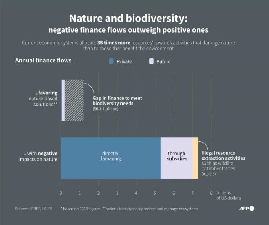 Infographic showing annual finance flows beneficial and harmful to nature, according to data published by the Intergovernmental Science-Policy Platform on Biodiversity and Ecosystem Services and the United Nations Environment Programme