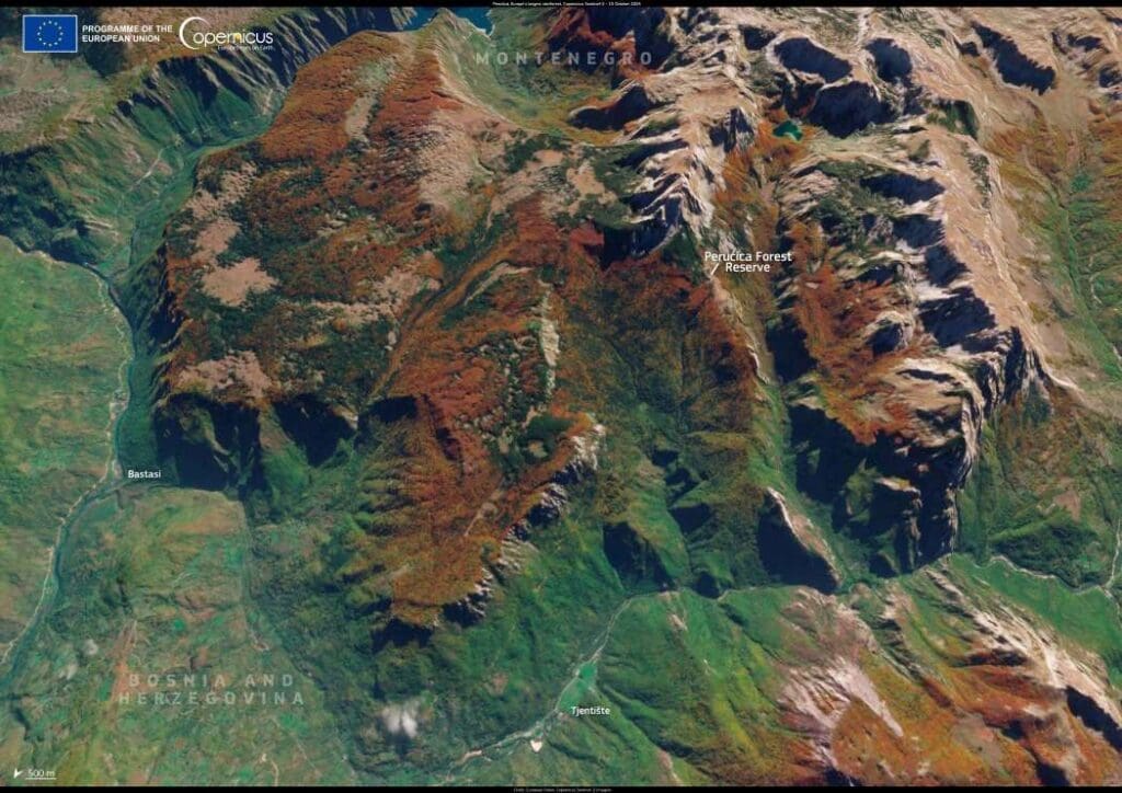 Sattelite image:  Perućica rainforest, Bosnia and Herzegovina, Europe