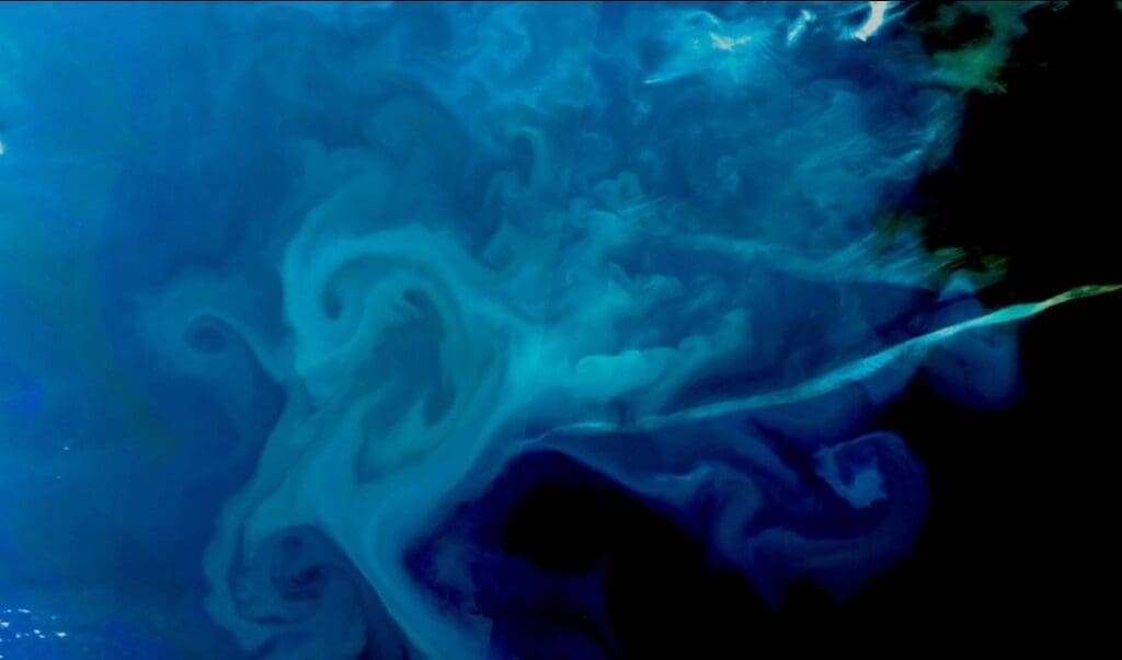 Phytoplankton bloom, Atlantic Ocean