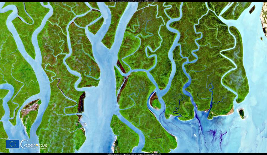 Satellite image: Sundarbans Reserve Forest in Bangladesh