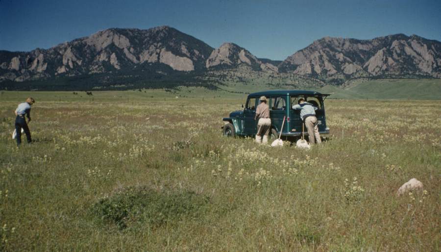 Members of the original team surveying for grasshoppers below the Flatirons outside Boulder, Colorado, between 1958 and 1960. The initial grasshopper survey was led by Gordon Alexander of CU Boulder (s. insects, climate)