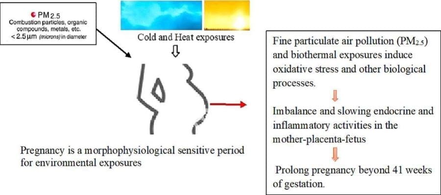 Graphical abstract: study 'Maternal climate-related exposures and prolonged pregnancy - Findings from a statewide population-based cohort study in Western Australia' (s. climate, pollution, pregnancy)