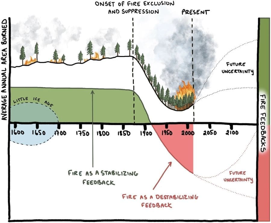 Conceptual figure illustrates the impacts of fire exclusion and suppression on area burned and fire severity in historically frequent-fire North American forests and woodlands represented by the majority of the fire scar sites used in our analysis