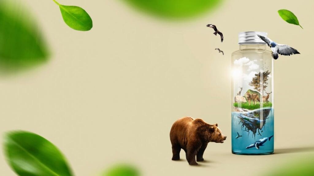 Countries lock horns over cash for nature at rebooted UN talks Image: Eco message in a bottle concept (s. nature, biodiversity)