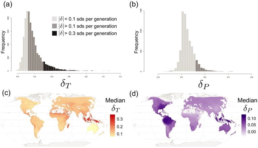 Graphic from study DOI: 10.1111/ele.70077 (s. birds, climate, environment)