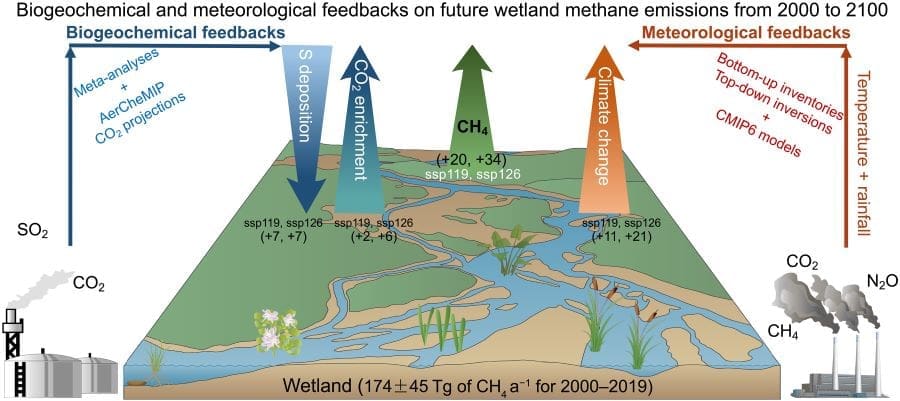 Graphic: Data-driven framework to evaluate future wetland methane emissions (s. science, climate)