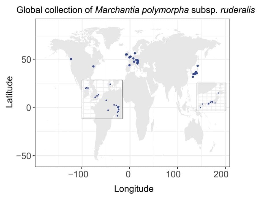 Graphical abstract: study (s. climate adaptation, plants, genetics)