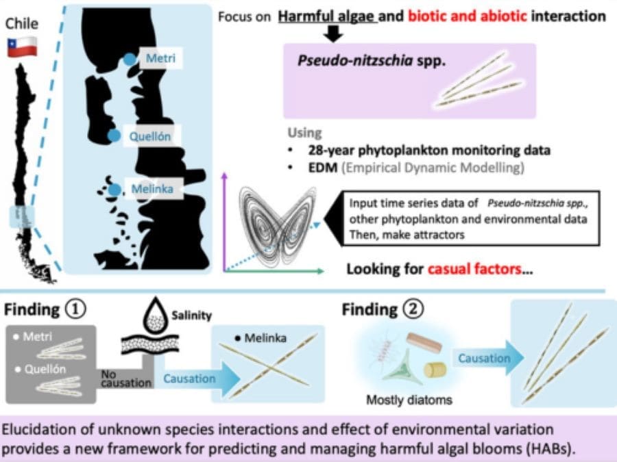 Graphical abstract (s. harmful algal blooms, phytoplankton, algae, climate)