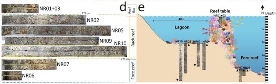 Image: Research location and cores (study, corals, climate)
