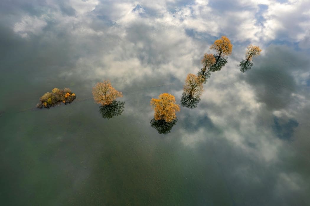 Desperate search for the missing as more than 80 people dead in Texas floods Trees in water (s. climate, moral values, floods)