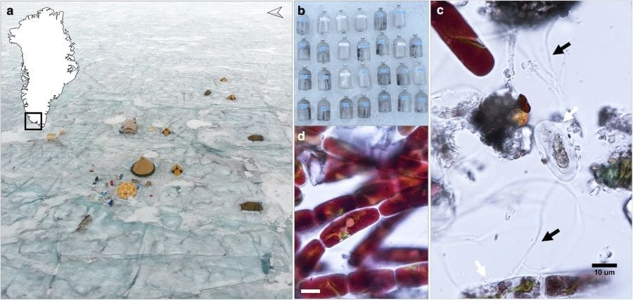 Image: Overview of the sampling site and experimental setup on the Greenland Ice Sheet (s. climate, science)