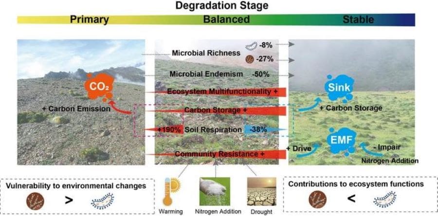 Image: Schematic representation of the dynamics of microbial community characteristics (s. science, climate)