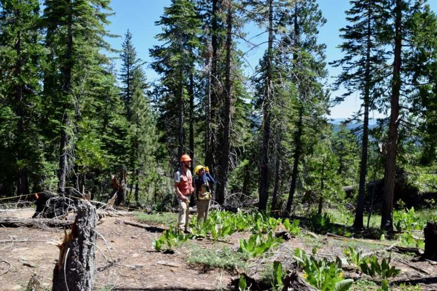 Image: Co-author Asha Paudel, Ph.D., (right) uses the rangefinder/hypsometer to survey the fields in the Sierra Nevada (s. wildfire, carbon, climate)