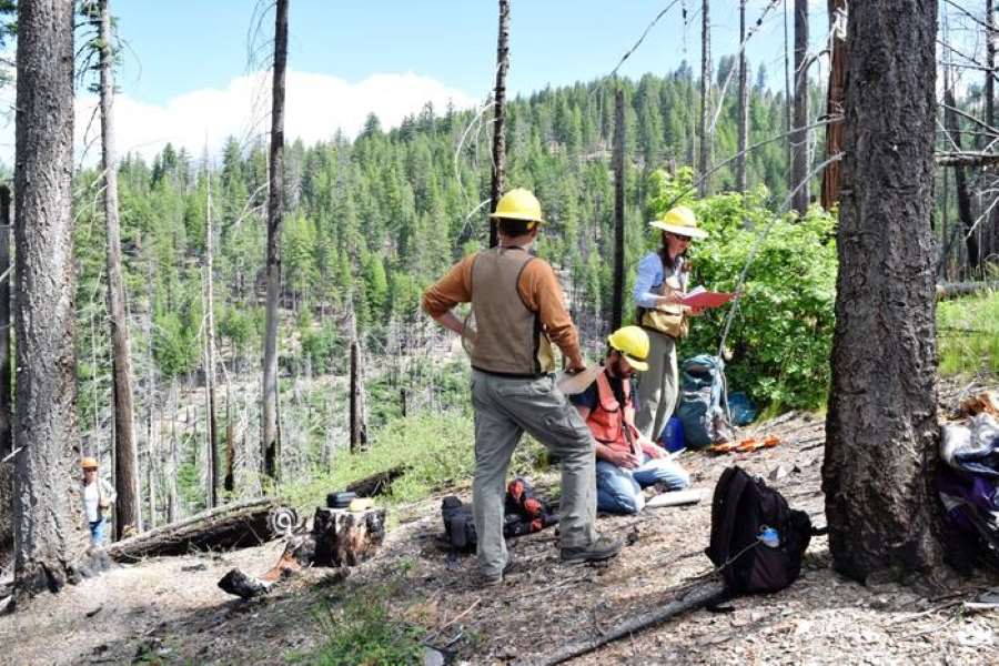 Image: Field Survey (s. wildfire, carbon, climate)