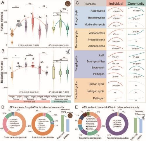 Image: Species richness dynamics during degradation stages at individual and community levels (s. science, climate)