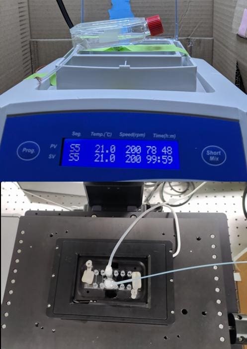 This new tool measures how individual phytoplankton cells are using energy. .Harris Phytoplankton Study (s. research, climate)