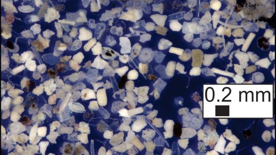 Image: Particles from hurricane-induced sediment plume (s. hurricanes, ocean, sedimentation)