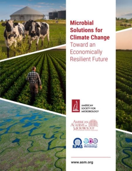 Image: Microbial Solutions for Climate Change Report Cover
