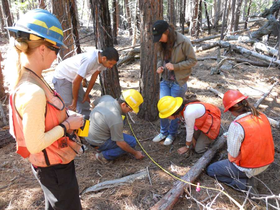 Image: In 2011, UC Davis researchers trained visiting forest restoration specialists from Lebanon in measuring surface fuels, tree regeneration, and forest structure at the Emerald Bay stand (s. Tahoe, wildfire)