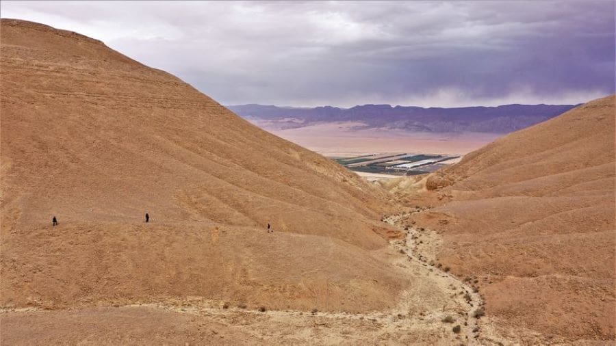 Image: Field site in the Negev