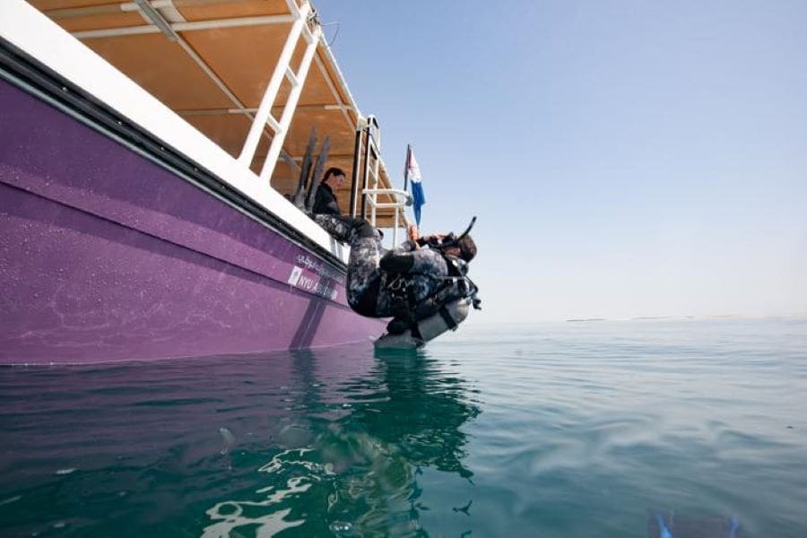 Some coral reef fish show adaptability to rising temperatures, study finds Image: Diving