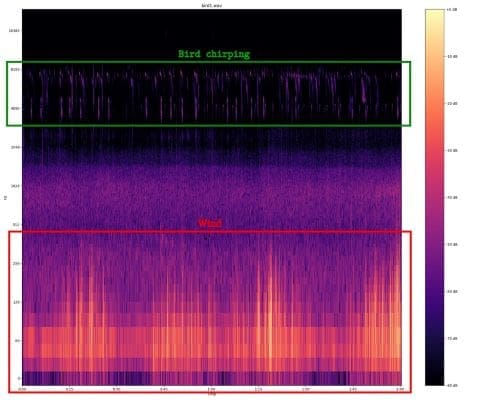 Image: Fig 2 - Spectrogram of bird sound