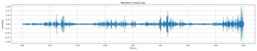 Image: Waveform of bird sound in a windy morning