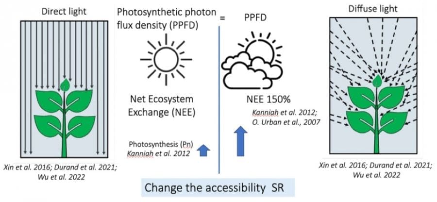 Image: Differences between sunny days and cloudy days