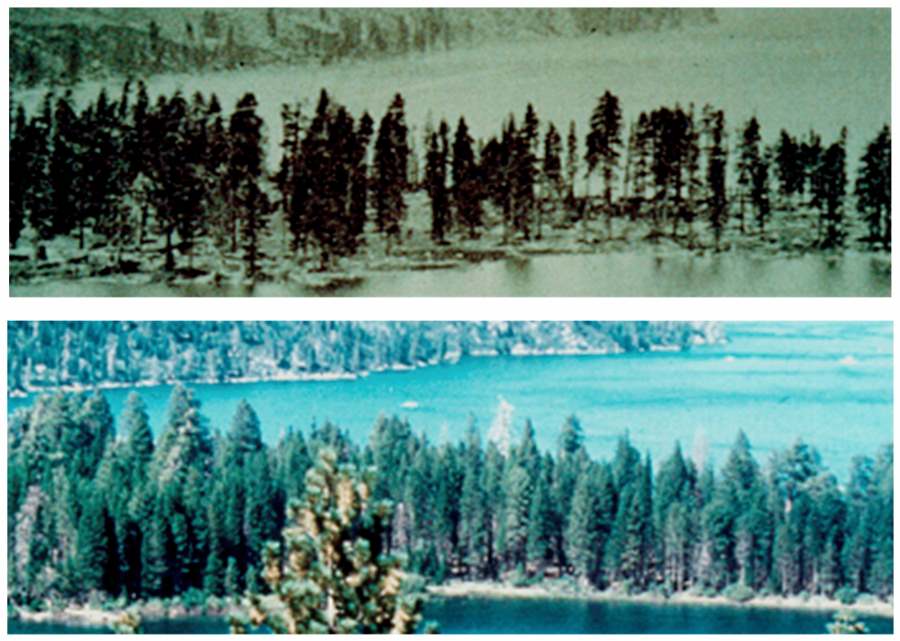 Image: Tree density has greatly increased through time at the Emerald Bay study site. The top photo was taken in 1883, and the bottom photo was shot in 2018 (s. wildfire, Tahoe)