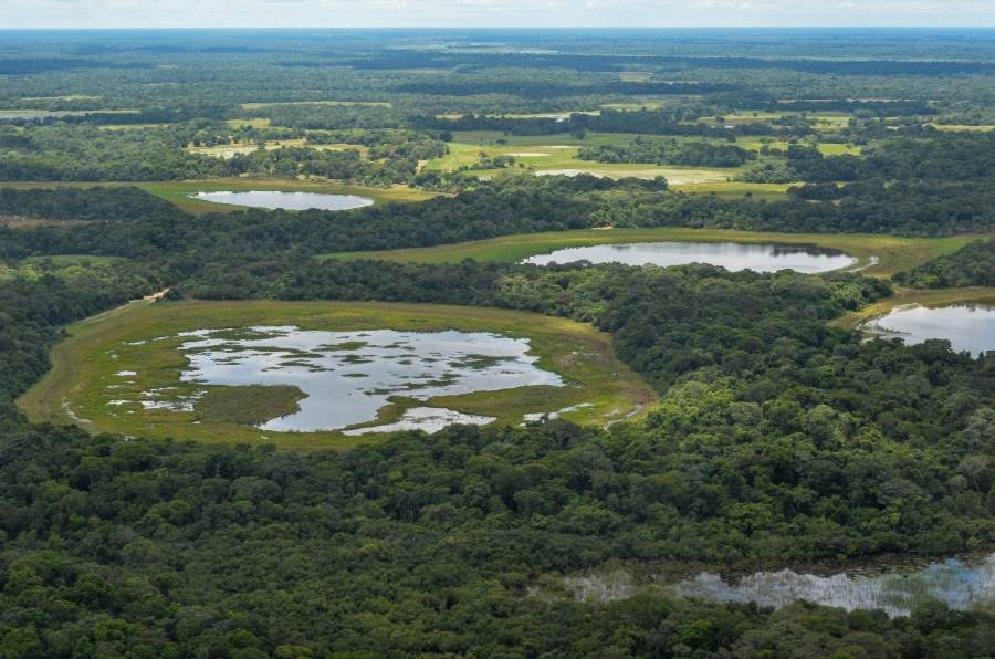 Image: Aerial image of the landscape of the Nhecolândia Pantanal in Mato Grosso do Sul state