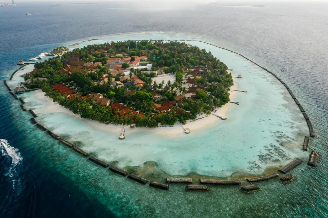 Snorkel with me to understand climate change, Palau president tells Trump