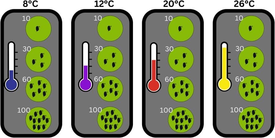 Image: Experimental setup for quantifying population dynamics along the thermal gradient (s. science, climate)