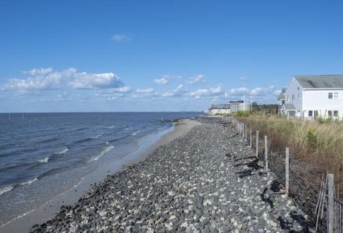Image: Rutgers Cape Shore Laboratory