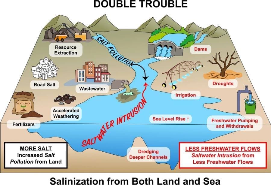 Image: Salinization from both land and sea