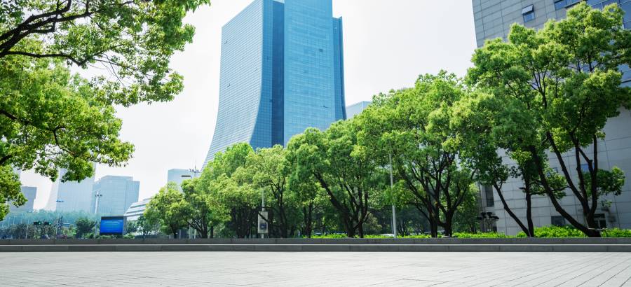 Image: Trees and odern business buildings